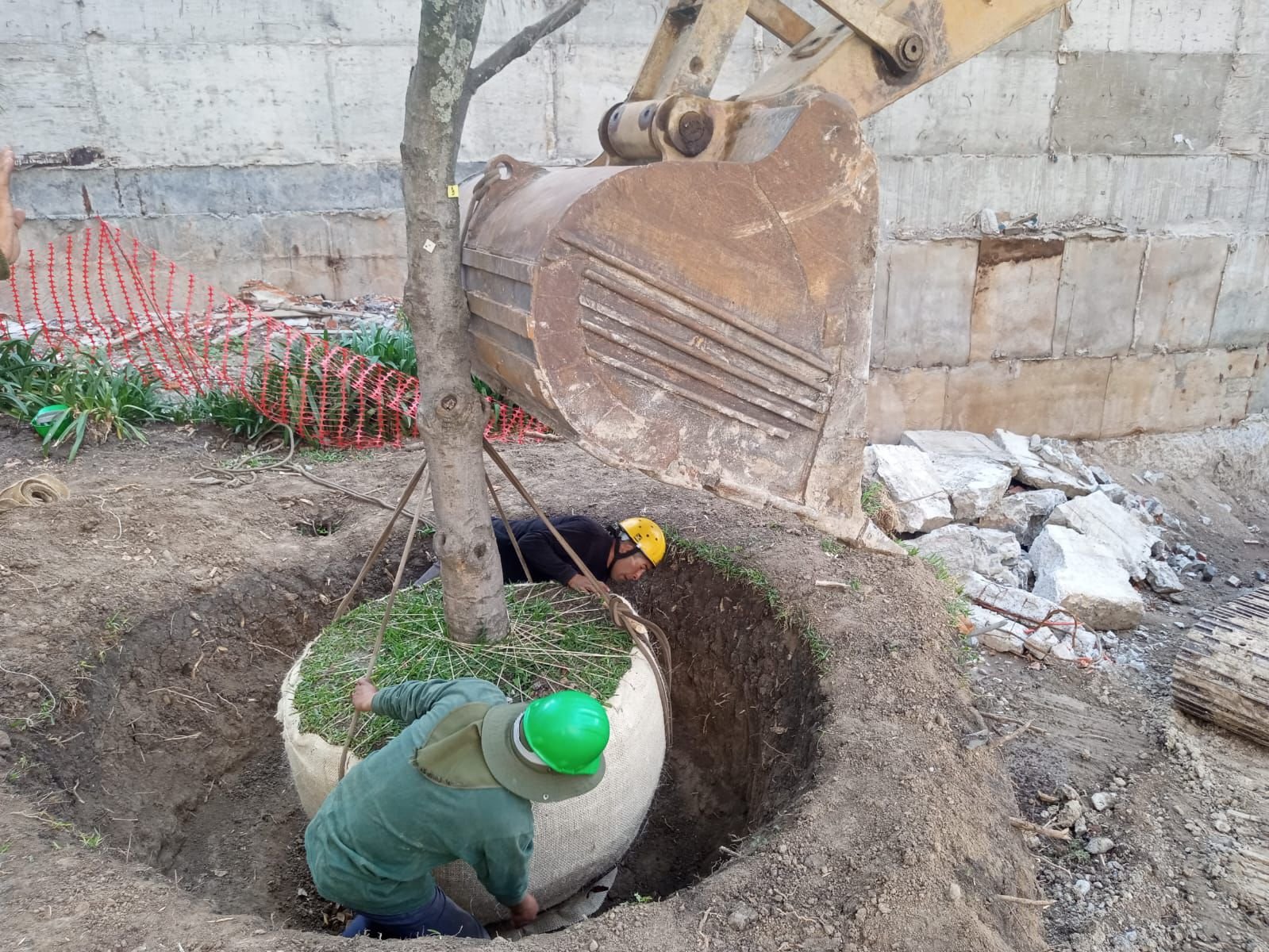 Equipo de SAYDE en proyecto